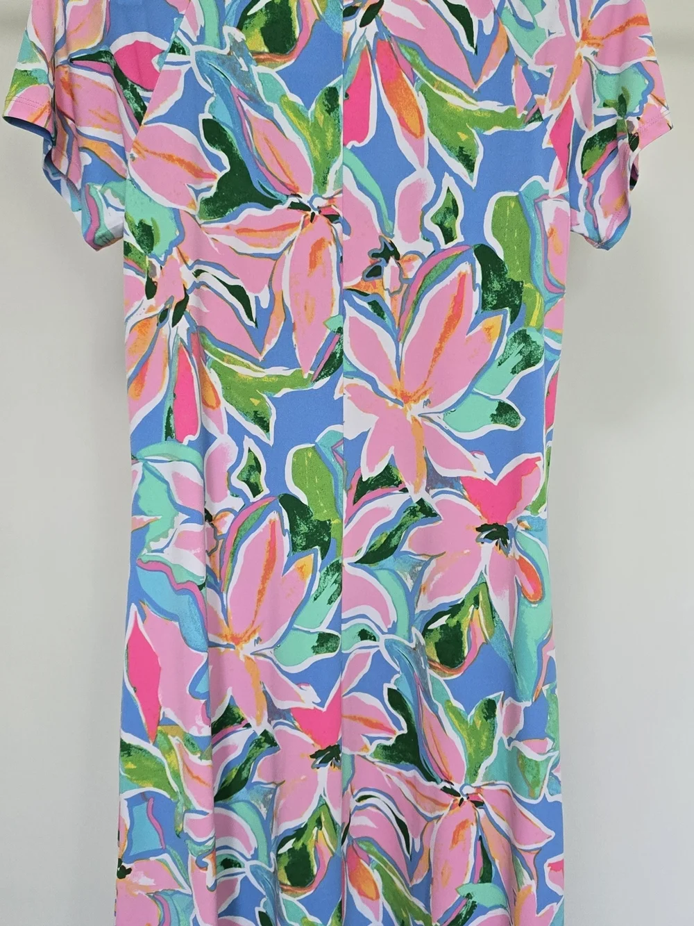 Chaus Floral Lace-Up Short Sleeve Tee Dress in Pink, Blue & Green